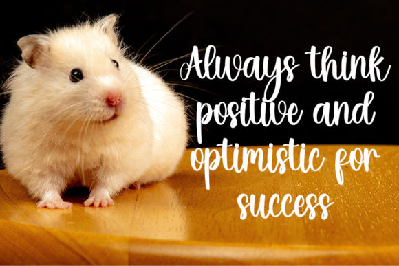Hamster Font - Preview 3