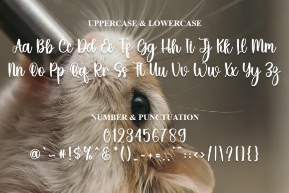 Hamster Font - Preview 6
