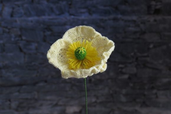 Poppy Flanders