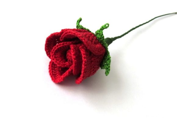 Rose Bud
