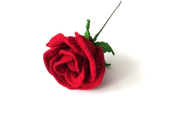 Rose Half Open