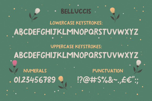 Belluccis Font - Preview 2