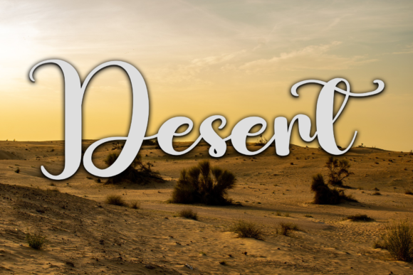 Cactus Font - Preview 3