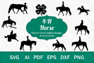 4-H Horses