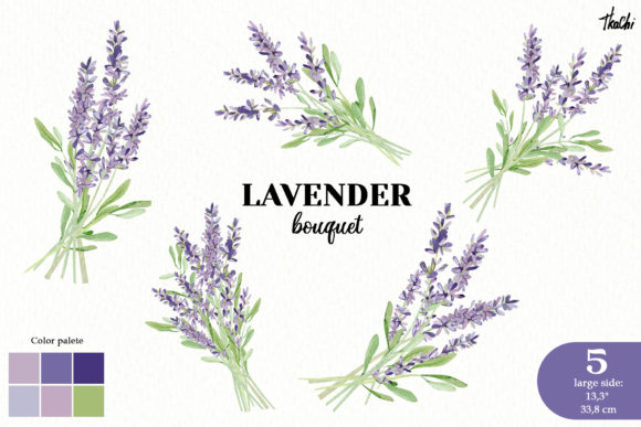 Watercolor Lavender Clipart Violet Png Graphic Illustrations By AnnaTkachi