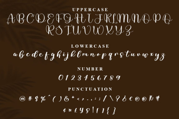 Blankly Font - Preview 4