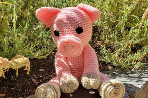 Cute Pig