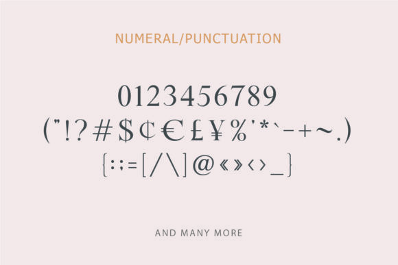 Felousia Font - Preview 6