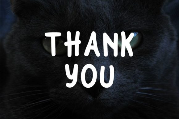 Black Cats Font - Preview 6