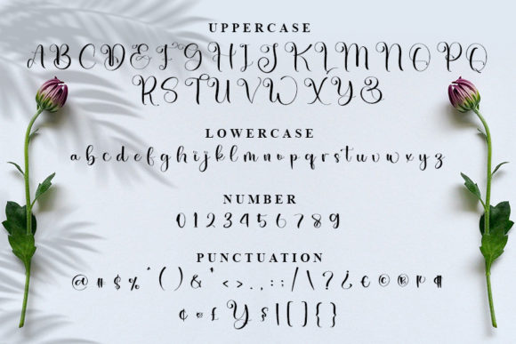 Darling Font - Preview 5