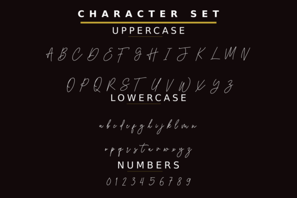 Farmhouse Signature Font - Preview 4