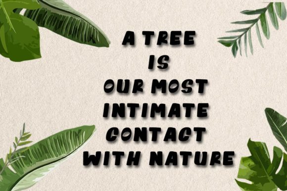 Plant Lovers Font PNG with transparent background - Preview 3