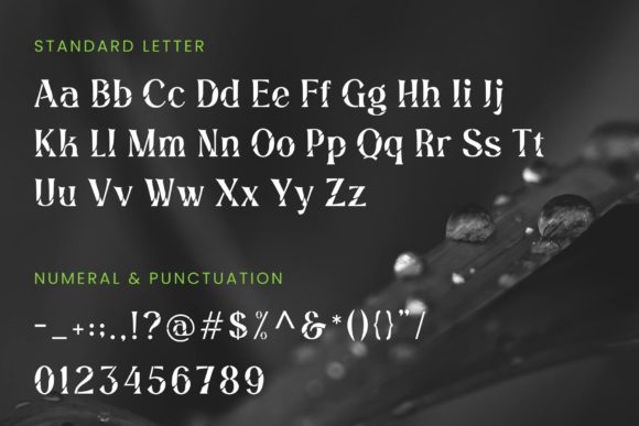 Angel Stencil Font - Preview 1