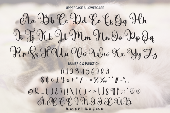Billi Font - Preview 6