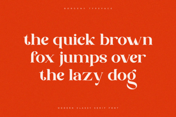 Borgeny Font - Preview 5