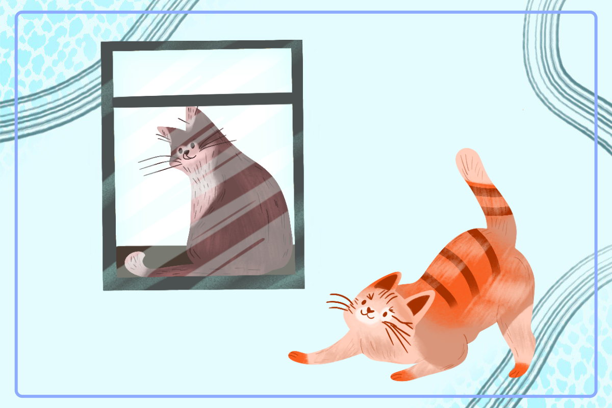 Cat Clipart PNG Free - photo 2