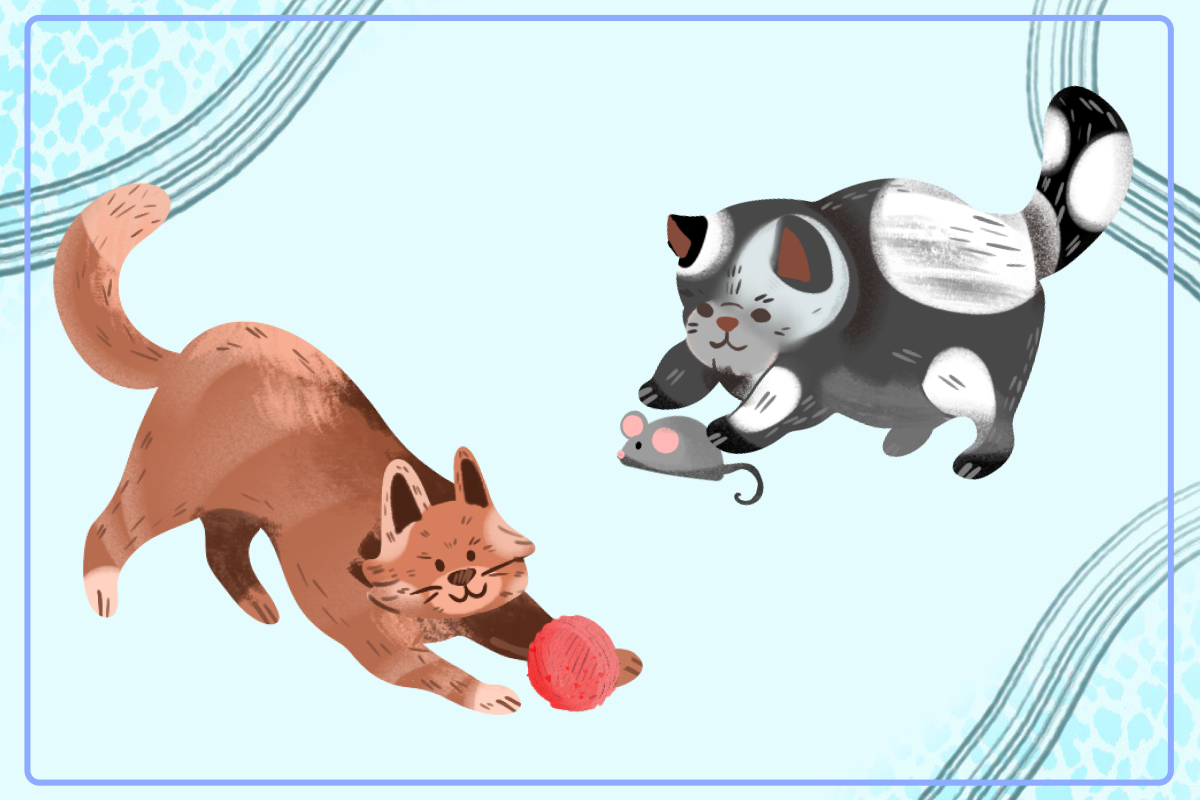 Cat Clipart PNG Free - photo 3