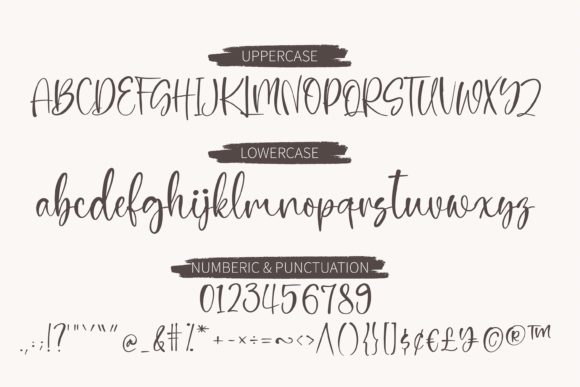 Delanie Font - Preview 2