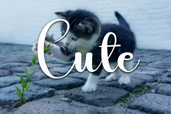 Digie Font - Preview 1