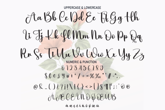 Hibis Font PNG with transparent background - Preview 6