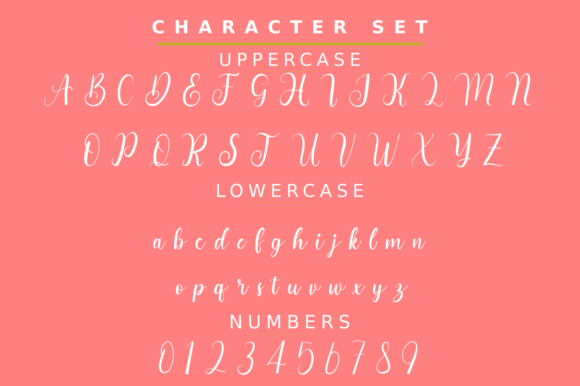 Bianca Font - Preview 4