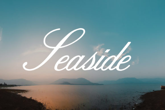 Camelia Font - Preview 1