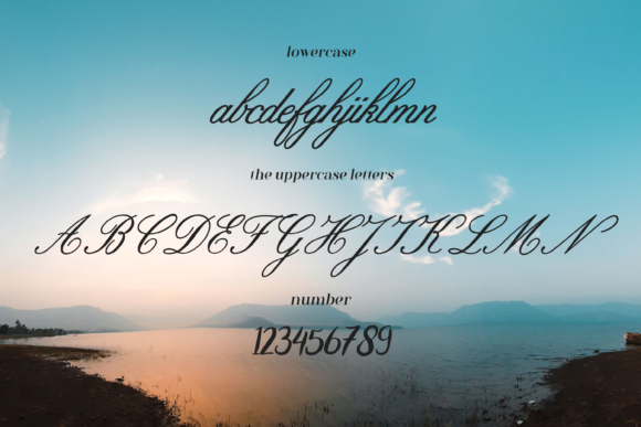 Camelia Font - Preview 2
