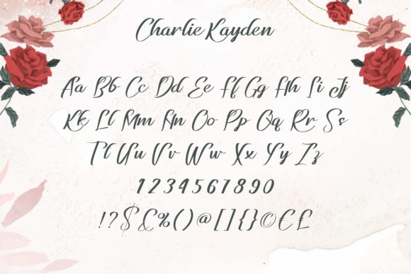 Charlie Kayden Font - Preview 3