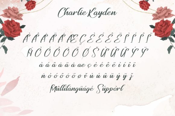 Charlie Kayden Font - Preview 6
