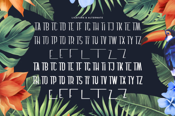 Haiterbach Font - Preview 5