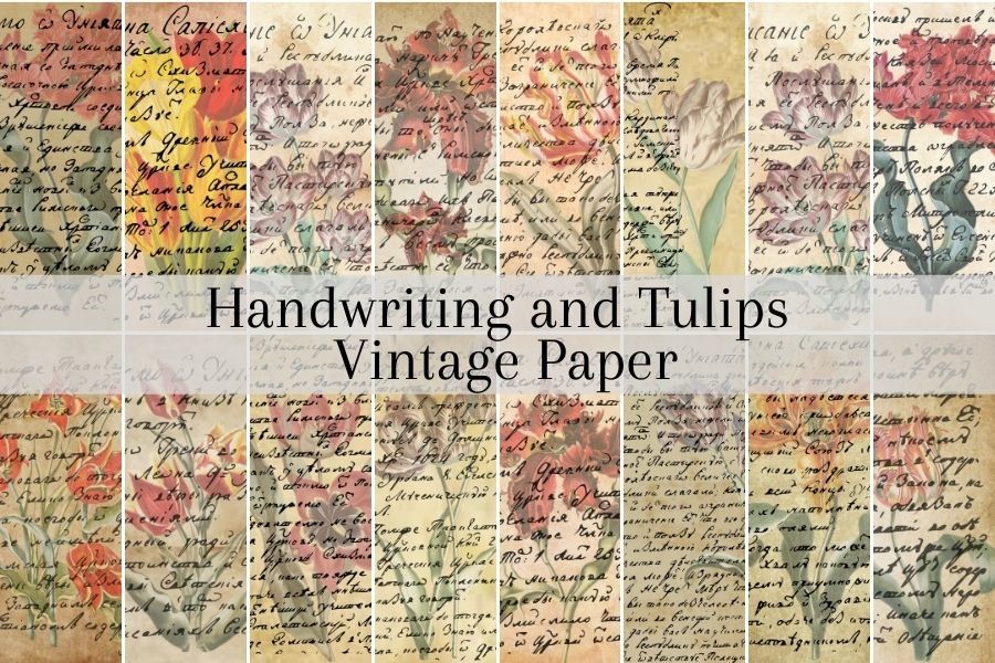 Handwriting and Tulips Vintage Paper Graphic by Jada Boutique Design ...