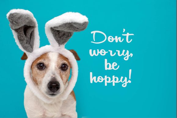 Jackrabbit Font PNG with transparent background - Preview 3