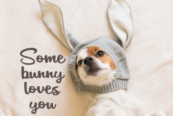 Jackrabbit Font PNG with transparent background - Preview 5