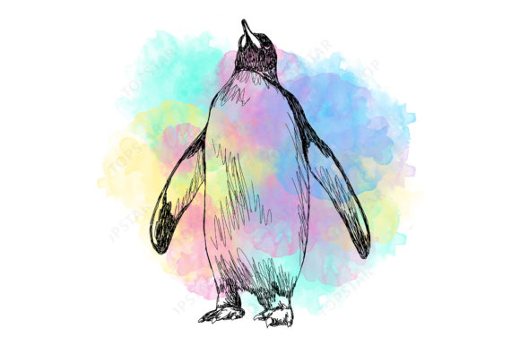 Penguin Design Bird Illustration 9765