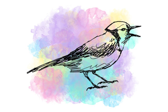 Watercolor Bird Illustration Design 7742