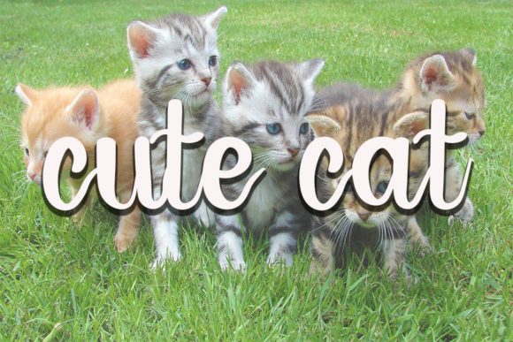 Animals Font - Preview 3