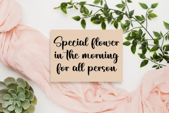 Danilla Font - Preview 1