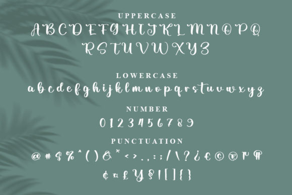 Danilla Font - Preview 4