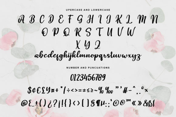 Libbey Font PNG with transparent background - Preview 5