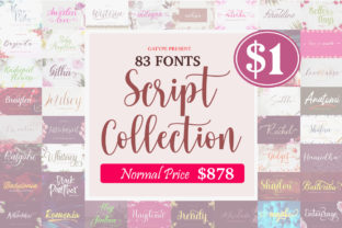 The Script Collection Bundle Bundle · Creative Fabrica