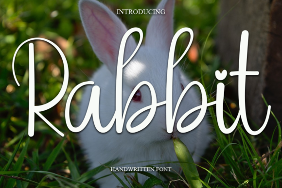 Rabbit Script & Handwritten Font By Strongkeng Old