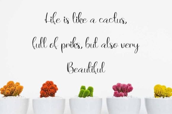 Dolphine Font - Preview 4