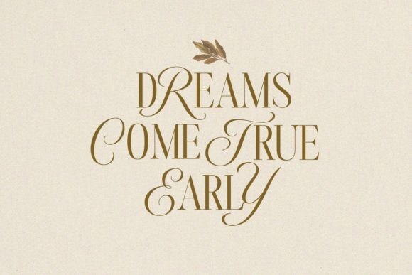 Androgy Display Font - Preview 2