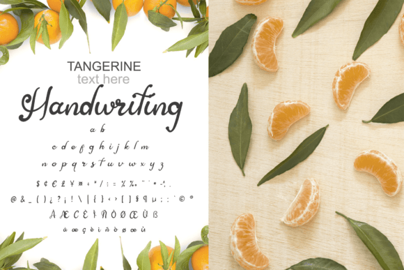 Asian Butterfly Font - Preview 1