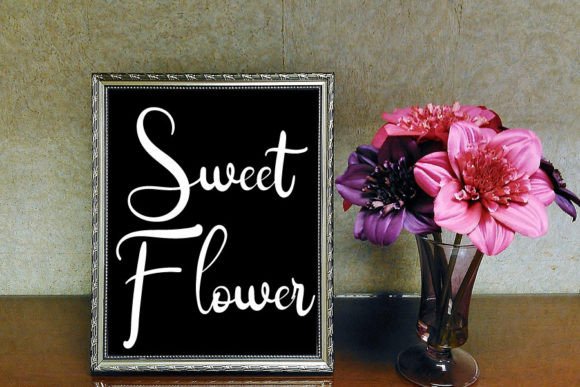 Attribute Signature Font - Preview 2