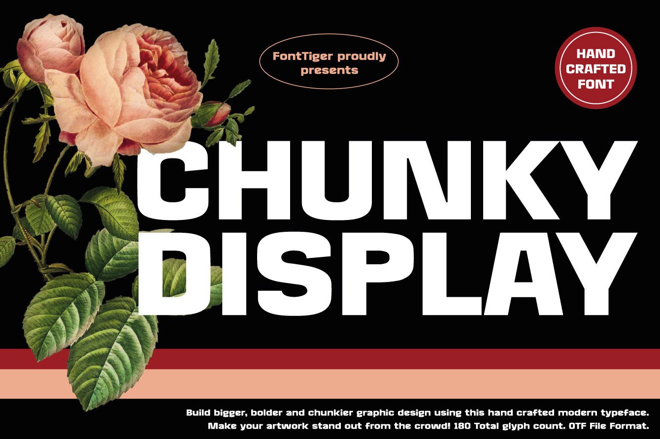 Chunky Display preview — plump rounded serif bold display font