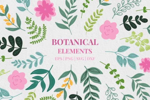 Floral Clipart Set . 14 PNG&vector Files