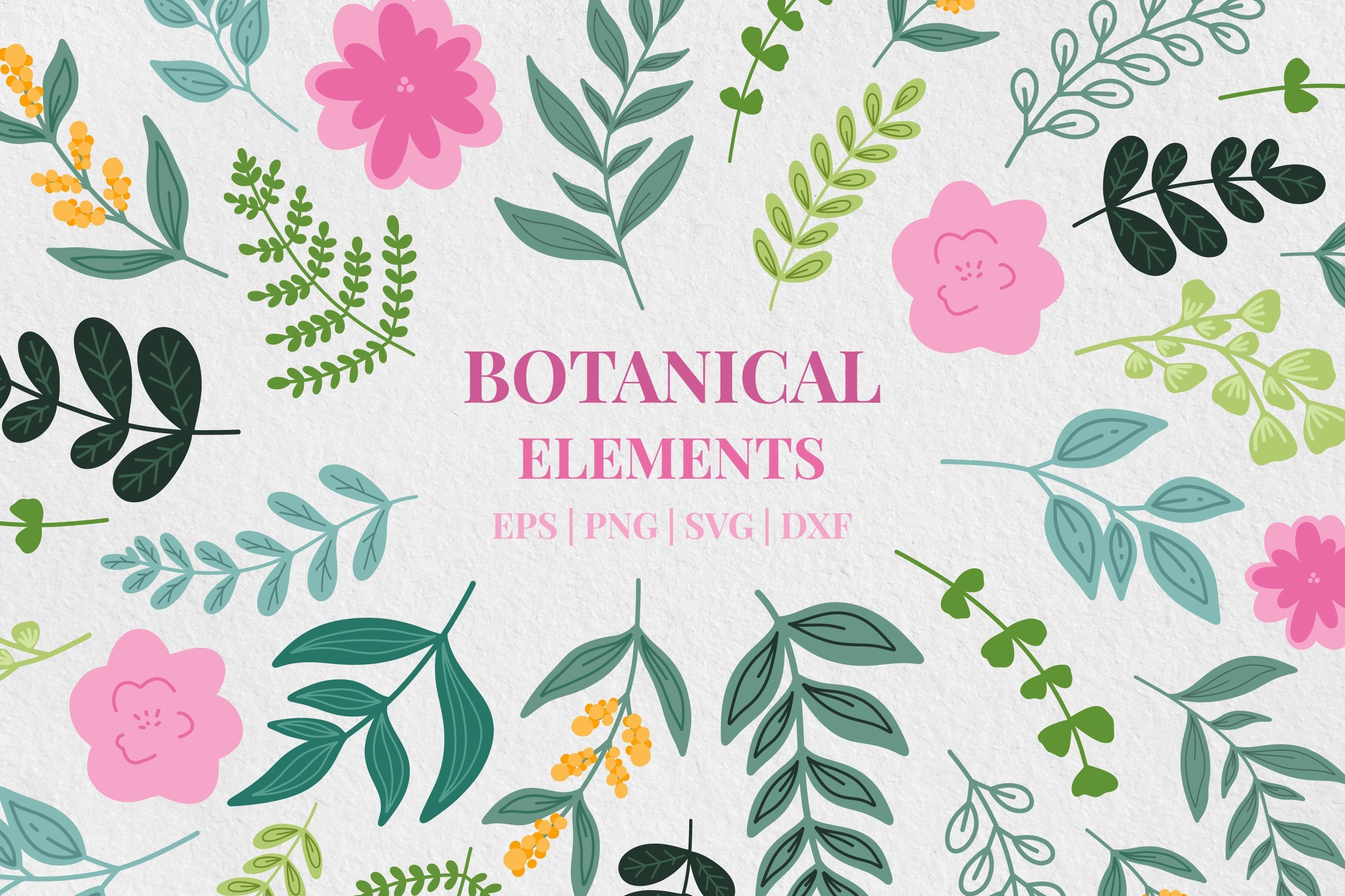 Floral Clipart Set . 14 PNG&vector Files