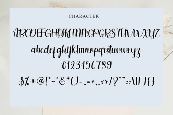 Florida Font - Preview 5