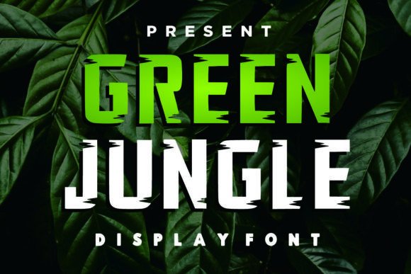 Green Jungle Fonts